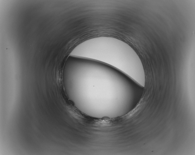 X0000111520140200907141244