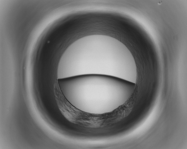 X0000111520143200907141244