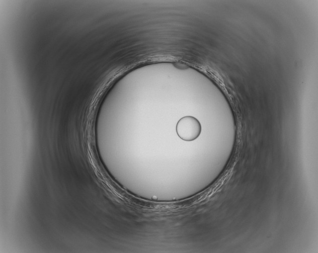X0000111520145200907141243