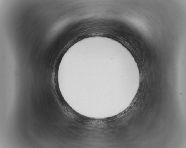 X0000111520146200907141243