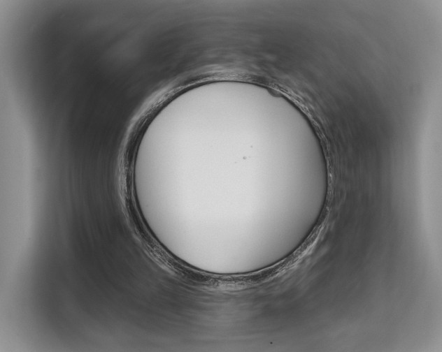 X0000111520149200907141243