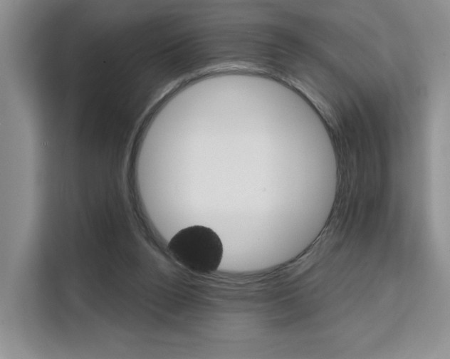 X0000111520160200907141243