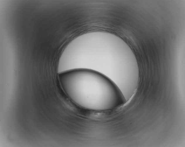 X0000111520174200907141243