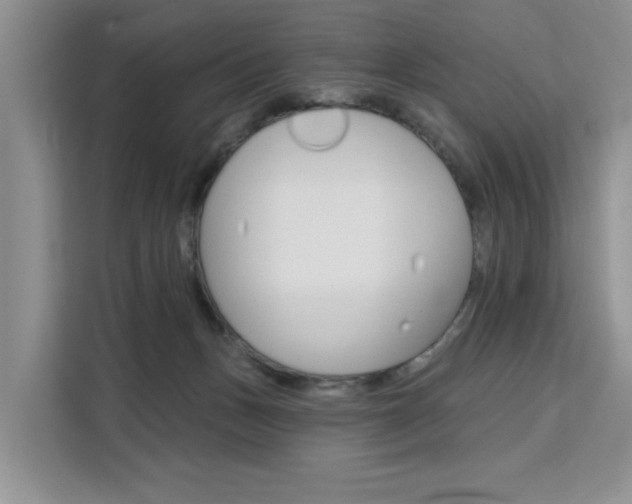 X0000111520175200907141243