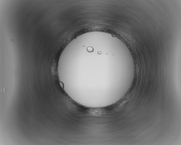 X0000111520181200907141244