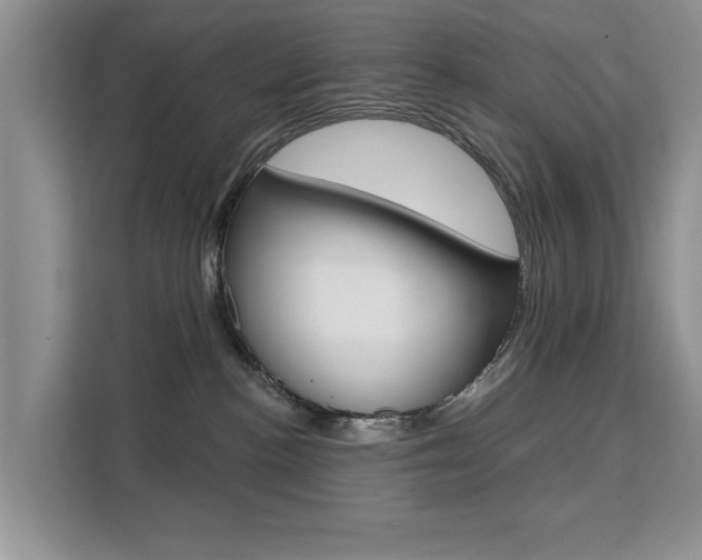 X0000111520188200907141244