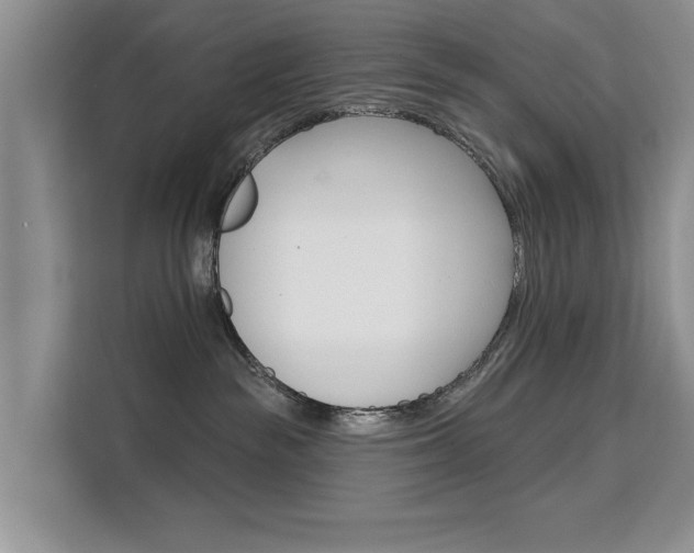 X0000111520189200907141244
