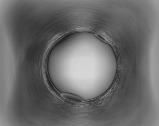 X0000111520193200907141243