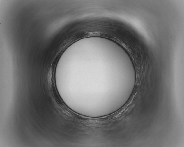 X0000111520194200907141243
