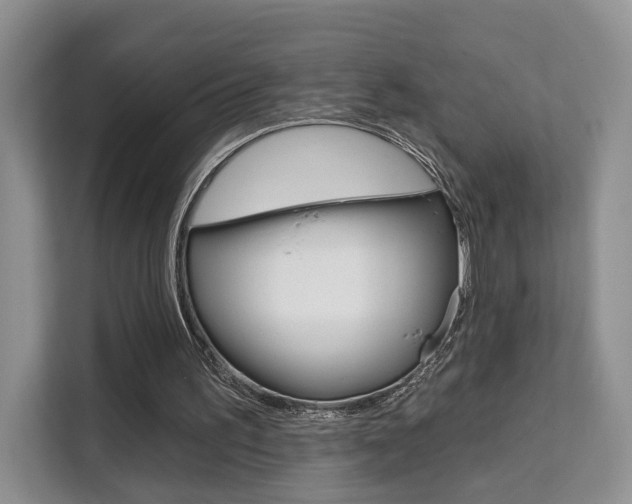 X0000111520195200907141243