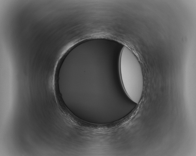 X0000111520196200907141243
