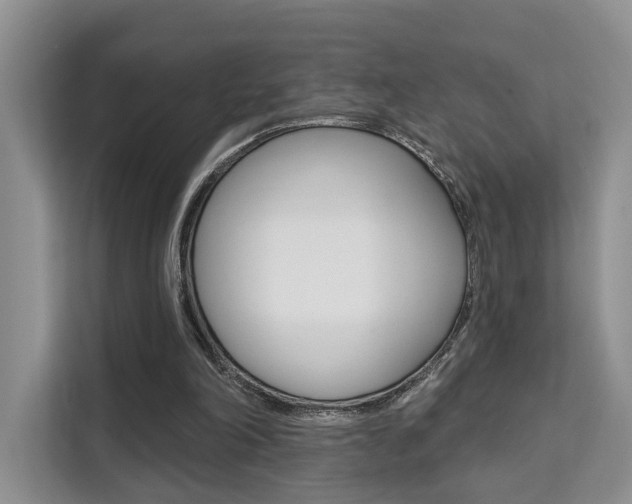 X0000111520198200907141243