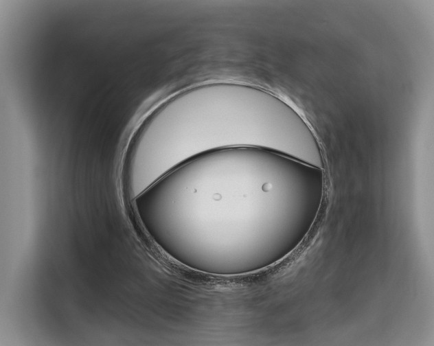 X0000111520199200907141243