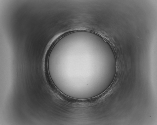 X0000111520200200907141243