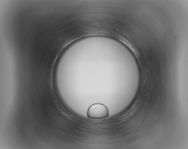 X0000111520203200907141243