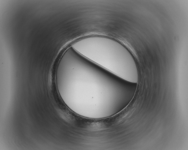 X0000111520204200907141243