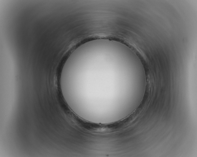 X0000111520212200907141243