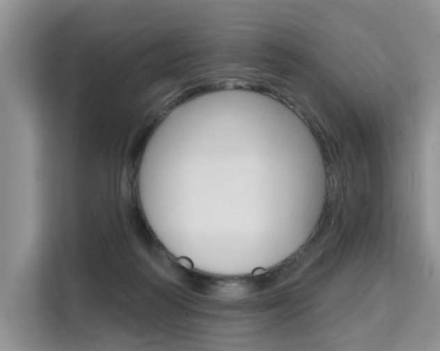 X0000111520218200907141243