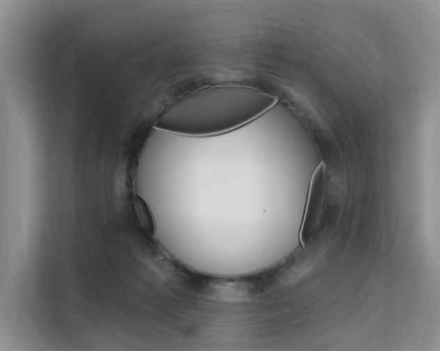 X0000111520221200907141243