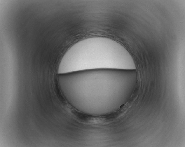 X0000111520223200907141243