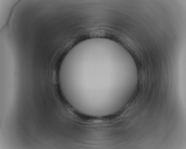 X0000111520224200907141243