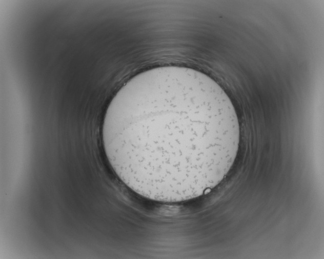 X0000111520227200907141243