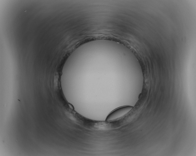 X0000111520231200907141243