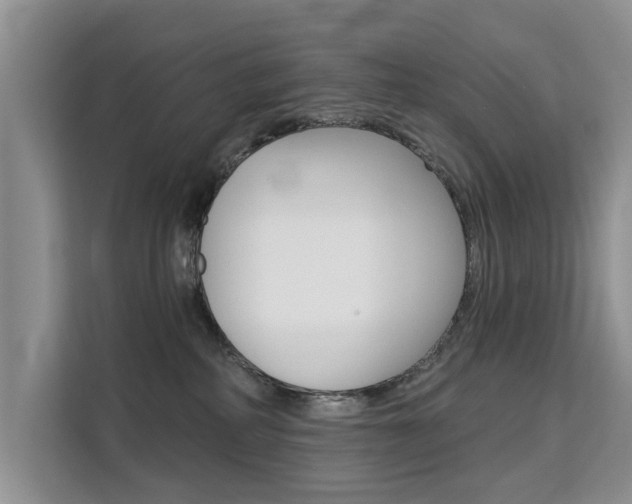 X0000111520234200907141242