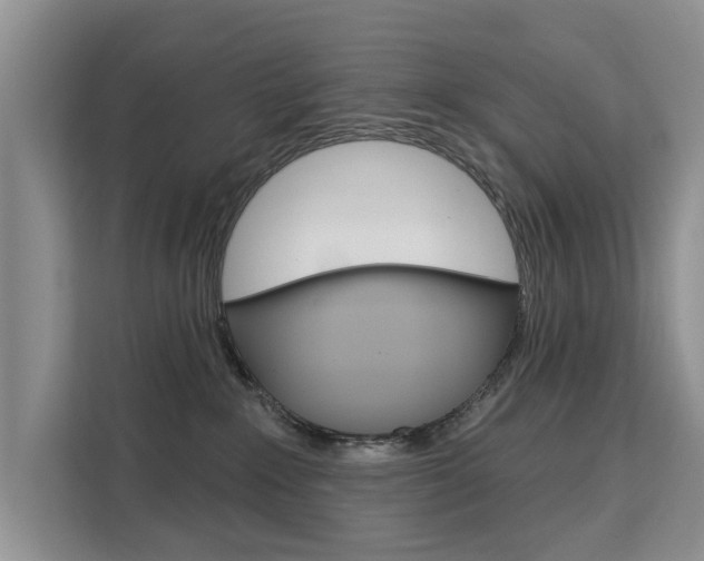 X0000111520235200907141242