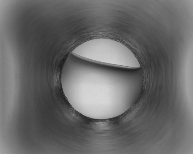 X0000111520236200907141242
