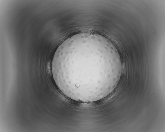 X0000111520238200907141242