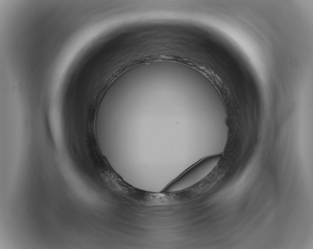 X0000111520239200907141242