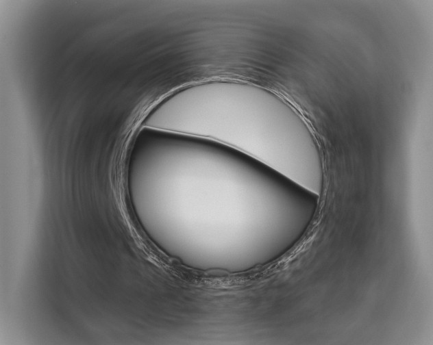 X0000111520241200907141242