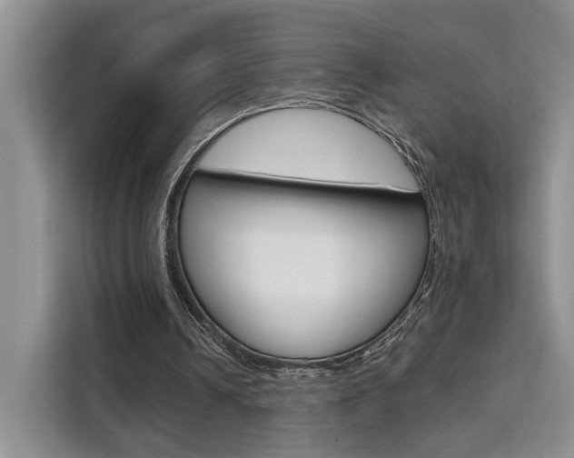 X0000111520242200907141242