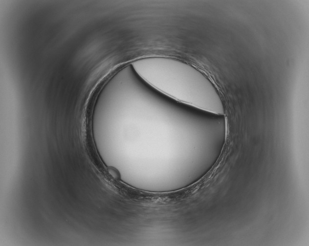 X0000111520243200907141242