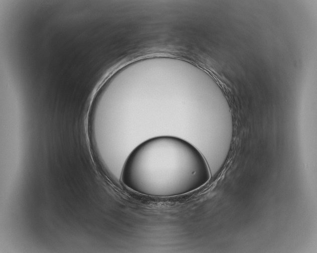 X0000111520244200907141242