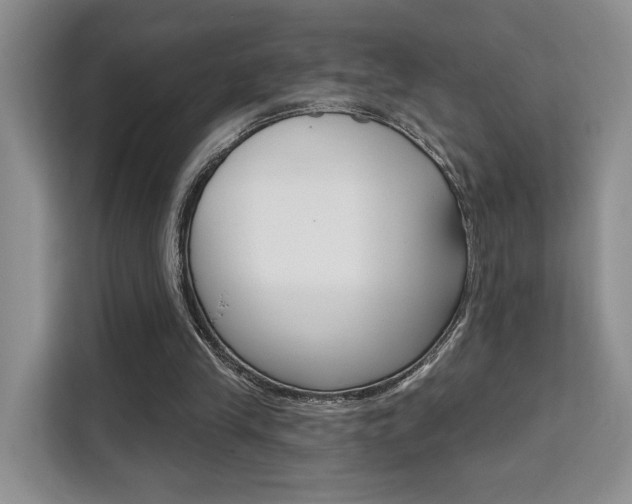 X0000111520245200907141242