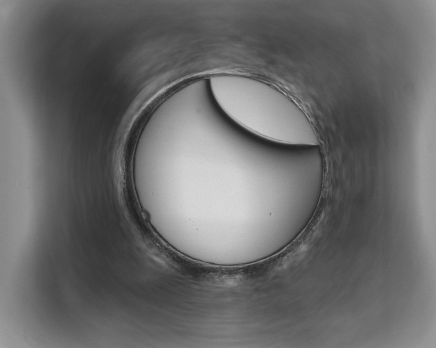 X0000111520247200907141242