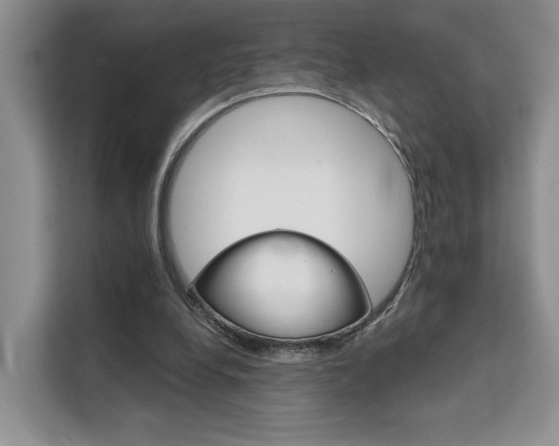 X0000111520248200907141242