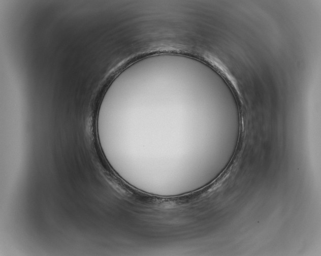 X0000111520249200907141242