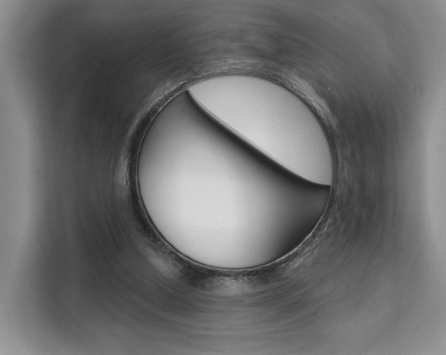 X0000111520250200907141242