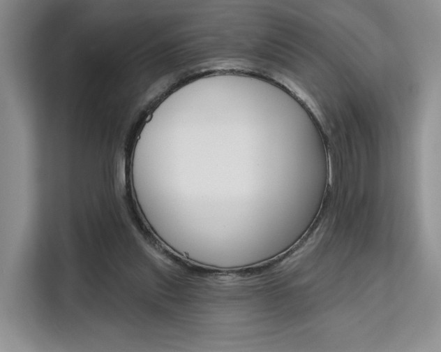 X0000111520253200907141242