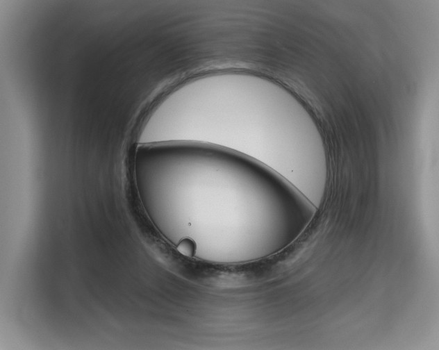 X0000111520256200907141242