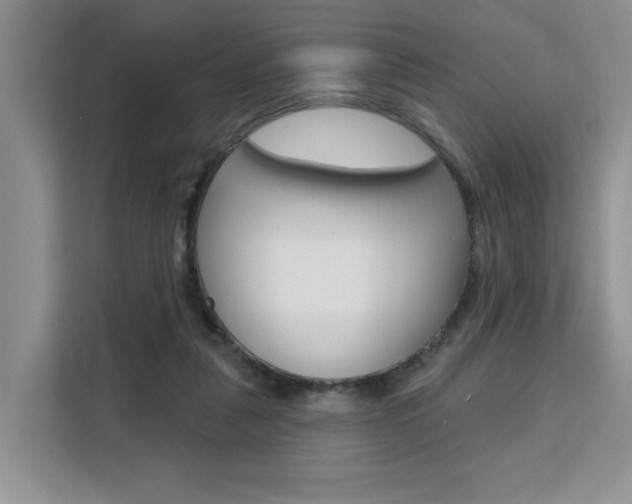 X0000111520259200907141242