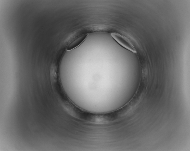 X0000111520264200907141242