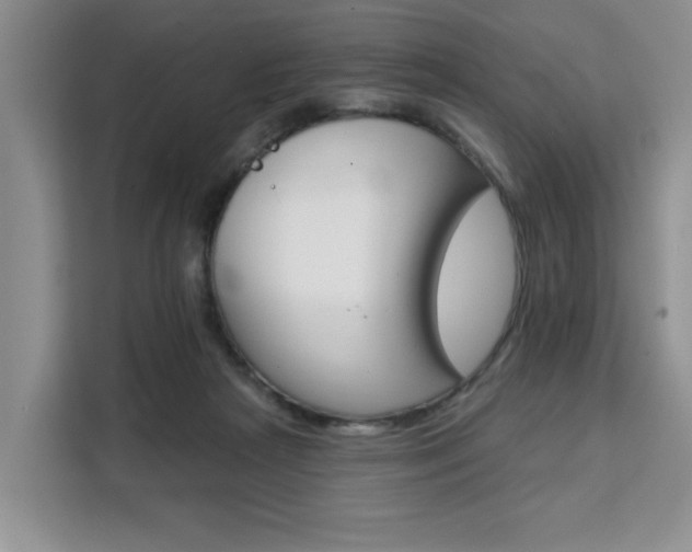 X0000111520265200907141242