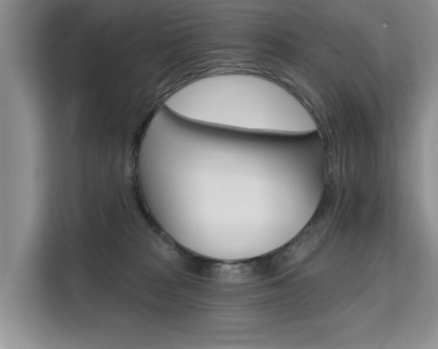 X0000111520277200907141242