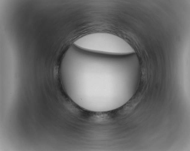 X0000111520278200907141242