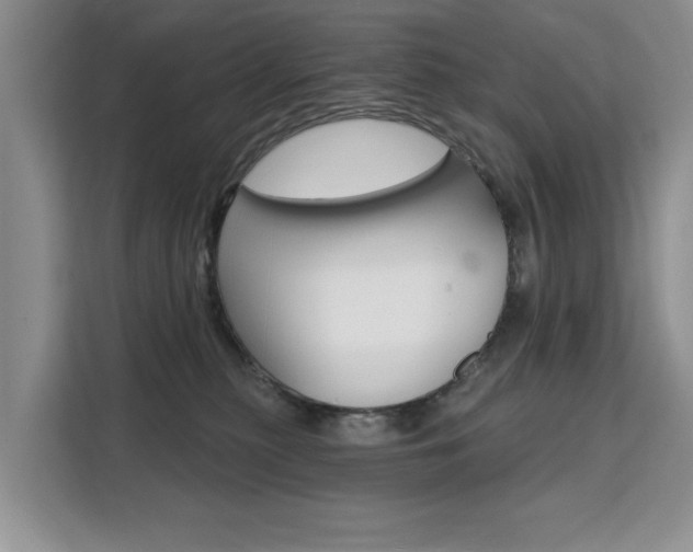 X0000111520279200907141242