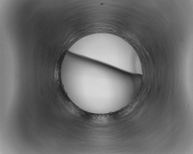 X0000111520282200907141242